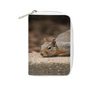 MNVTSKOP Étui pour cartes de crédit en cuir souple avec 20 emplacements pour cartes d'identité, organiseur à fermeture éclair, pour homme et femme, motif écureuil qui vient d'être couché, 3,15 ×