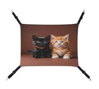 MNVTSKOP Hamac à suspendre pour chat mignon noir et orange avec sangles réglables et crochets en métal pour intérieur et extérieur