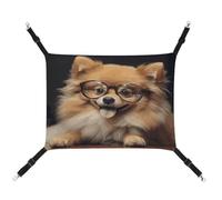 MNVTSKOP Hamac à suspendre pour chien de Poméranie avec lunettes et sangles réglables et crochets en métal pour intérieur et extérieur