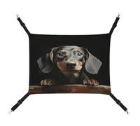 MNVTSKOP Pad Teckel Hamac respirant à suspendre pour chat avec sangles réglables et crochets métalliques en peluche douce pour intérieur et extérieur