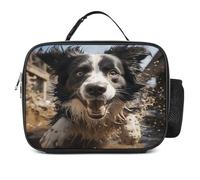 MNVTSKOP Pastor Border Collie Boîte à déjeuner réutilisable étanche avec poignée pour bureau, pique-nique, plage