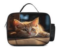 MNVTSKOP Petite boîte à déjeuner réutilisable en forme de chat orange avec poignée pour bureau, pique-nique, plage