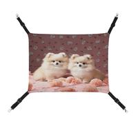 MNVTSKOP Pomeranians Puppies and Point Hamac respirant pour chat avec sangles réglables et crochets métalliques en peluche douce pour intérieur et extérieur