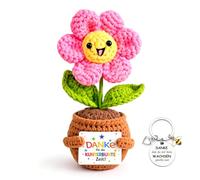 MOAZIFI Fleur crochetée à la main dans un pot comme cadeau d'éducatrice et cadeau d'honneur - Joli cadeau d'adieu pour enseignante, enseignante, cadeau de remerciement, merci que tu m'as aidé à
