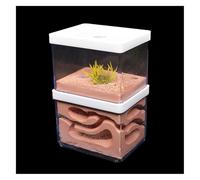 MOBAAK Fourmilière Nid Fourmis Ferme De Fourmis en Plâtre Naturel Et Écologique, Grand Nid De Fourmis, Château D'insectes, Atelier, Fourmilière pour Animaux De Compagnie Fourmis Elevage(16cm)