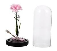 Mobestech 1 Pièce Œillets Lumineux simulés Fleur Petit Mariage oeillet conservé Faux Bouquet réel Lampe décorative Lampe à Verre Lampe à Abat-Jour en Verre Un Verre Rose