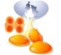 Mobestech 3pièces Boîte à Œufs De Transport Organisateur Pratique Pour Stockage Des Œufs Pours Pique-niques Extérieur Couleurs Aléatoires Design Compact Et Sécurisé