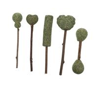 Mobestech 5 pièces Bâtonnets à Chaton Herbe à Chat Naturelle Jouets à Mâcher Comestibles pour Chats Stimulent Appétit et Favorisent la Digestion Jouets pour Dents et Interaction Saveur