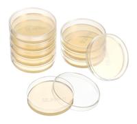 Mobestech Lot De 10 Boîtes De Petri Pré-Coulées Avec Gélose Nutritive 7Cm Plaques D'Agar Pour Expériences Scientifiques Laboratoire Stem Éducation Enfants