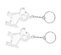 Mobestech Lot de 2 Porte-Clés Souvenirs de Poils D’Animaux Transparents Coffret Commémoratif Compact pour Chiens et Chats Présent Sentimental Pratique et Léger pour Amoureux des Animaux