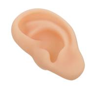 Mobestech Modèle D’oreille En Silicone Gauche Réaliste Éducatif Médical Pour Étudiants Professionnels Formation Pratique Anatomie Auriculaire
