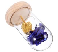 Mobestech Ornements Lumineux en Forme De en Verre Décoration Immortelle Lampe À Fleurs Préservées pour La Maison