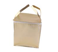 Mobestech Portable Réutilisable avec Isolation Sacoche Repas Imperméable et Lavable pour Camping Stockage de Gâteaux et Boissons