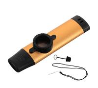 Mobestech Set Kazoo Métal Professionnel Instrument de Musique Débutant Facile à Apprendre Kazoo Portable pour Fêtes et Festivals Partenaire de Guitare pour Performances