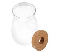 Mobestech Terrarium en Verre pour Plantes Hydroponiques Taille L Récipient Couvercle Décoration Intérieure pour Mini Contenant Multifonctionnel