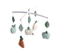 Mobile musical Botanica