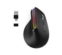The Mobility Lab Souris verticale ergonomique pour droitiers 5 boutons sans fil BT 2.4GHz USB-C noir