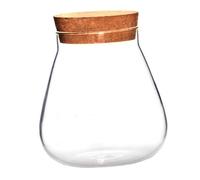 MOBUTOFU Bocal en Verre Bouchon Liège Terrarium Micro-Paysage Vase pour Plantes Intérieur Multifonctionnel Rangement
