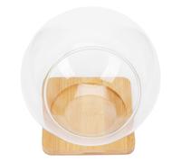 MOBUTOFU Pot de Fleurs en Verre Décoratif Facile à Nettoyer Support en Bois, Bouteille de Micro-Paysage pour Plantes Succulentes en Salle à Manger ou Hôtel, 1 Set