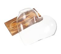 MOBUTOFU Vase et Exposition des Racines en Verre Transparent avec Socle en Bois Hydroponique pour Culture sans Sol pour Plantes D'intérieur sur Bureau ou Décoration