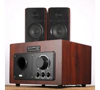 MOBYGKFY Haut-Parleur sans Fil avec Caisson de Basses Puissant et télécommande for téléphone Portable TV Domestique et KTV