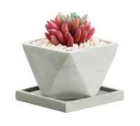 MOBYGKFY Pot de Fleur spécial Succulent en Ciment, Petit Pot d'empotage créatif et Respirant for Plantes