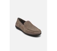 Geox U Ascanio B Moccasin, Gris, 40 EU