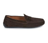 Mocassins hommes Geox U ISTRIA Marron 42