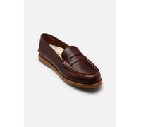 Mocassins Timberland LOAFER SHOE pour Femme 36 Bordeaux