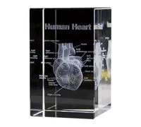 Mocturnity Figurines anatomiques gravées avec en 3D, modèle de cœur en verre, cube, souvenir médical, décoration, presse-papiers.