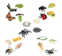 Mocturnity Figurines de Cycle de Vie de Papillon AraignéE Abeille Libellule, Figurines D'Insectes en Plastique Jouet, Projet Scolaire pour Les Enfants