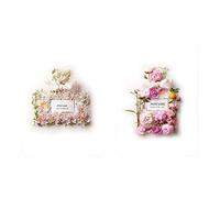 Mode Blush Rose Parfum Fleur Bouteille Peintures sur Toile Tableau De Miss Blooming Bouquet Murale Art Vogue Affiches Et Estampes Decoration À La Maison 50x70cmx2 No Frame
