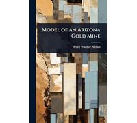 Model of an Arizona Gold Mine
