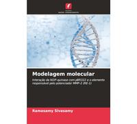 Modelagem molecular: Interação da NDP-quinase com pBR322 e o elemento responsável pelo potenciador MMP-2 (RE-1)