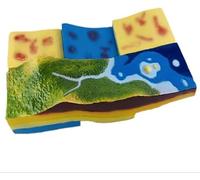 Modèle 3D de tectonique des plaques et de morphologie de surface, démonstration de sédimentation la structure des couches géologiques, outil d'enseignement de la géographie