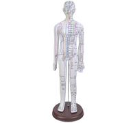 Modèle Acupoint Homme Homme Acupoint Modèle Femelle avec Points Acupoints Aide à l'enseignement Anatomie professionnelle