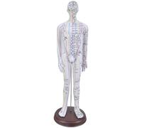 Modèle Acupoint professionnel de 52 cm avec point d'acupuncture chinois pour s'entraîner au méridien complet du corps
