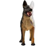 Modèle anatomique 4D de chien avec modèle anatomique de biologie détachable | 29 pièces pour démonstration d'enseignement animalier et formation vétérinaire