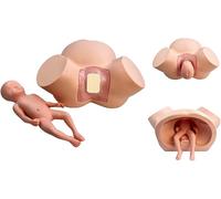 Modèle anatomique avancé en PVC pour la formation à la maternité, simulateur d'accouchement féminin, modèle de fœtus, poupée de simulation pour l'enseignement de la formation médicale en fertilité.