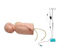Modèle Anatomique d'Anatomie Humaine pour Formation aux Ponctions Veineuses, Tête et Bras, Corps Humain Modèle avec Retour Sanguin Simulé, Ensemble d'Entraînement Infirmier