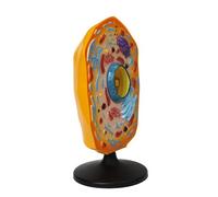 Modèle anatomique de cellule animale - Anatomie éducative avec pièces amovibles - Biologie - Aide à l'apprentissage en classe