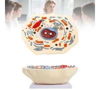 Modèle anatomique de cellule animale - Modèle agrandi en coupe transversale - Idéal pour l'enseignement en t en laboratoire, facile à transporter - Destiné à l'étude et aux instituts