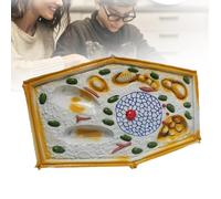 Modèle anatomique de cellule végétale - Modèle de spécimens microscopiques de la structure cellulaire - Outil pédagogique biologique agrandi pour l'enseignement de la biologie au collège