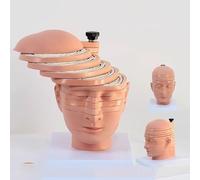 Modèle anatomique de cerveau humain détachable avec 12 tranches, points clés numériques et PVC peint à la main pour une utilisation éducative dans les écoles