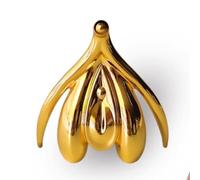 Modèle anatomique de clitoris féminin haut de gamme - Mannequin gynécologique 3D for l'éducation et la thérapie(Gold)