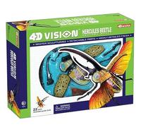 Modèle anatomique de coléoptère en 4D, 22 pièces détachables, modèle d'organes biologiques, puzzle, modèle de torse for l'enseignement et l'étude
