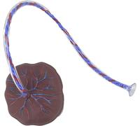 Modèle anatomique de cordon ombilical et de placenta for les applications de santé et d'éducation - avec affichage des veines et des artères