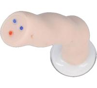 Modèle anatomique de cordon ombilical et de placenta pour entraînement aux applications de santé - avec affichage veines et artères