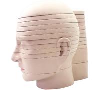 Modèle Anatomique de Coupe transversale de tête Humaine 12 pièces Coupe transversale de la tête et du Cerveau Coupe Horizontale Logo Anatomique Clair modèle de Corps Humain for Cabinet médical