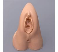 Modèle Anatomique de démonstration du Corps reproducteur féminin Anatomie pour la Pratique médicale Modèle de Formation